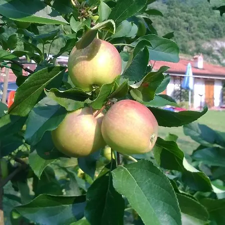 Trefrutti * Arco