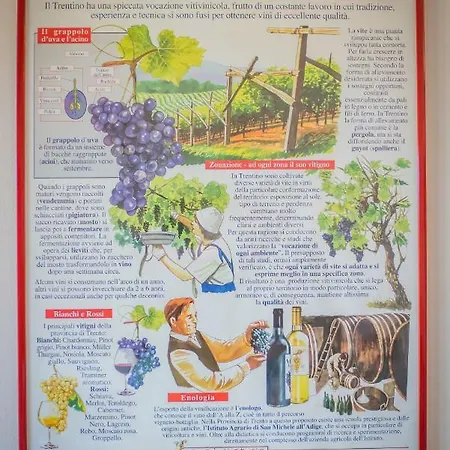 Trefrutti Bauernhof *